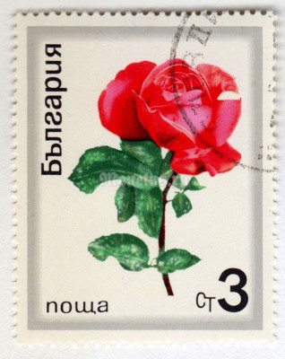 марка Болгария 3 стотинки "Rose" 1970 год Гашение