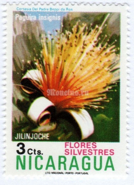 марка Никарагуа 3 сентаво "Jilinjoche" 1974 год 