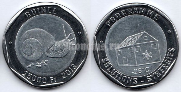 Монета Гвинея 25 000 франков 2013 год - Синергия. Без надписи 5 €