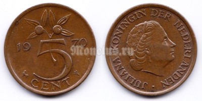 монета Нидерланды 5 центов 1970 год