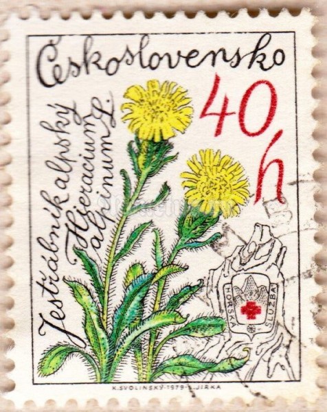 марка Чехословакия 40 геллер "Альпийская Ястребинка" 1979 год