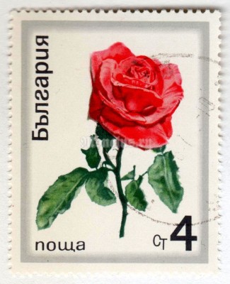 марка Болгария 4 стотинки "Rose" 1970 год Гашение