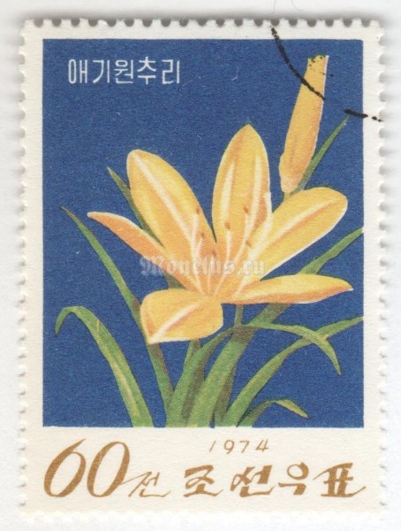 марка Северная Корея 60 чон "Yellow day lily (Hemerocallis minor)" 1974 год Гашение