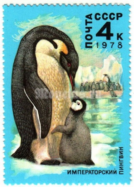 марка СССР 4 копейки " Королевский пингвин" 1978 год