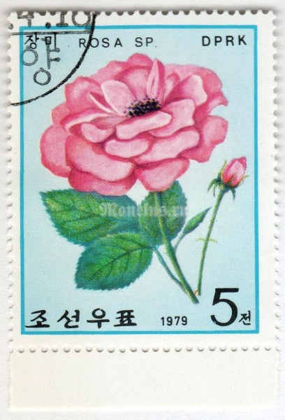 марка Северная Корея 5 чон "Type 670 (postage)" 1979 год Гашение
