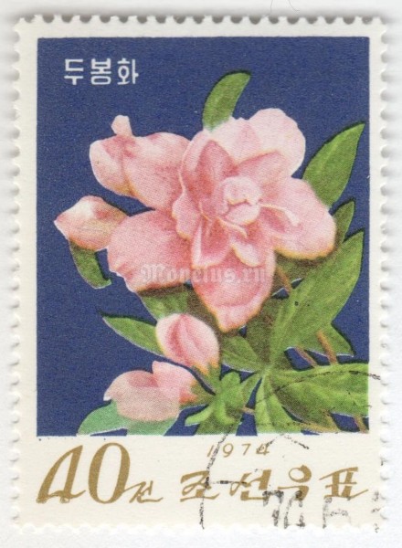 марка Северная Корея 40 чон "Azalea" 1974 год Гашение