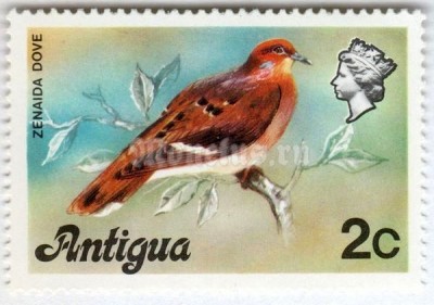 марка Антигуа 2 цента "Zenaida Dove (Zenaida aurita)" 1976 год