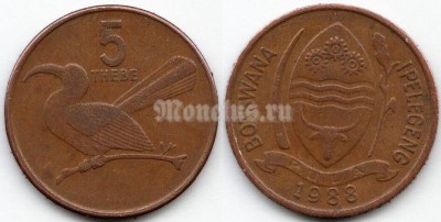 монета Ботсвана 5 тхебе 1988 год