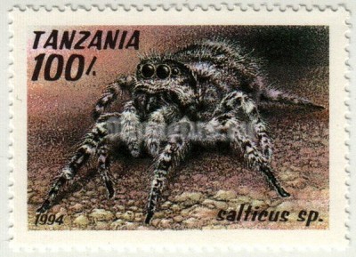 марка Танзания 100 шиллингов "Прыгающий Паук ( Salticus )" 1994 год
