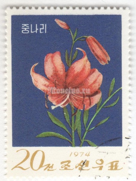 марка Северная Корея 20 чон "Tiger lily" 1974 год Гашение