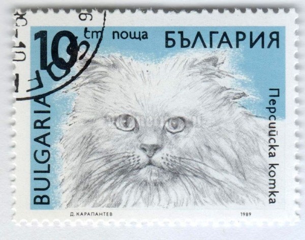 марка Болгария 10 стотинок "Persian (Felis silvestris catus)" 1989 год Гашение