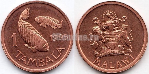 монета Малави 1 тамбала 1995 год - Тилапия