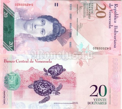 банкнота Венесуэла 20 боливаров 2011 год - Черепаха