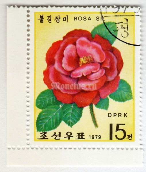 марка Северная Корея 15 чон "As No. N1824 - Red rose" 1979 год Гашение