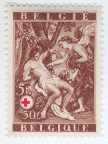 марка Бельгия 5+30 франка "Red Cross België" 1944 год