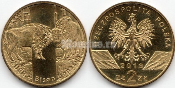 монета Польша 2 злотых 2013 год - Зубр