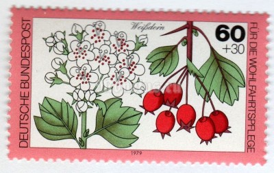 марка ФРГ 60+30 пфенниг "Hawthorn" 1979 год