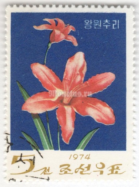 марка Северная Корея 5 чон "Day lily (Hemerocallis)" 1974 год Гашение