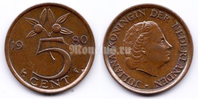 монета Нидерланды 5 центов 1980 год