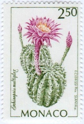 марка Монако 2,50 франка "Echinopsis multiplex" 1993 год