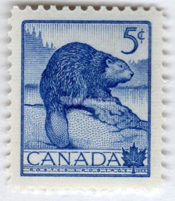 марка Канада 5 центов "North American Beaver (Castor canadensis)" 1954 год