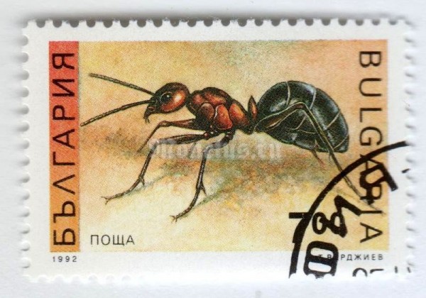 марка Болгария 7 лева "Red Wood Ant (Formica rufa)" 1992 год Гашение