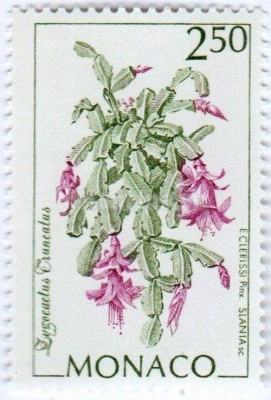 марка Монако 2,50 франка "Zygocactus truncatus" 1993 год