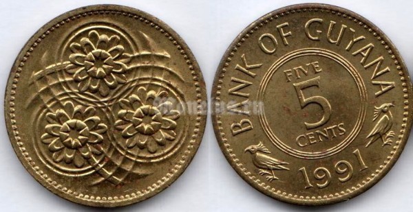 монета Гайана 5 центов 1991 год