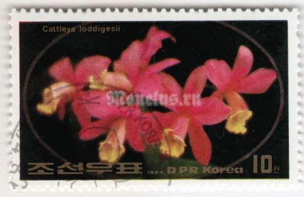 марка Северная Корея 10 чон "Cattleya loddigesii" 1984 год Гашение