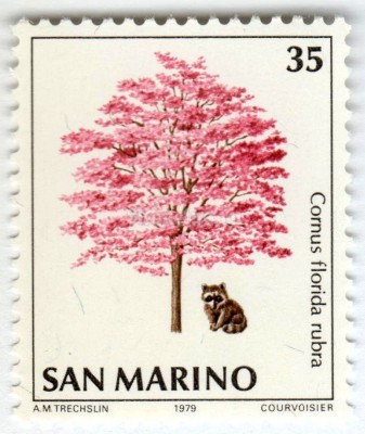 марка Сан-Марино 35 лир "Raccoon (Procyon lotor), Pink Dogwood (Cornus florida rubra)" 1979 год