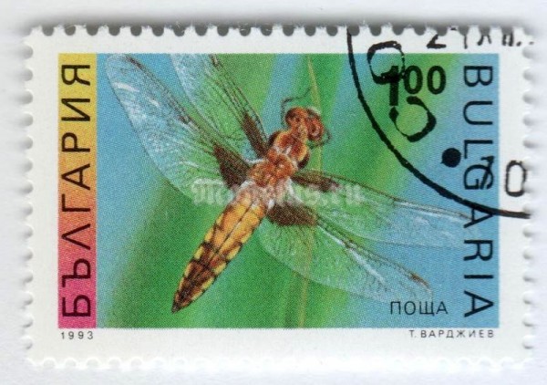 марка Болгария 1 лев "Four-spotted Chaser (Libellula quadrimaculata)" 1993 год Гашение