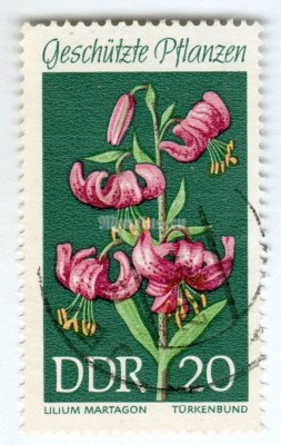 марка ГДР 20 пфенниг "Lilium martagon" 1969 год Гашение