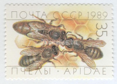 марка СССР 35 копеек "Пчелы на сотах" 1989 год