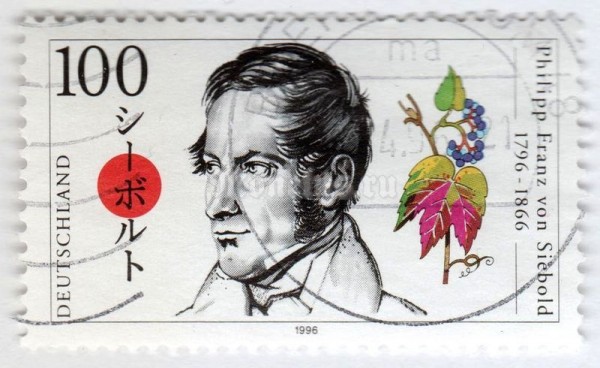 марка ФРГ 100 пфенниг "Philipp Franz von Siebold (1796-1866)" 1996 год Гашение