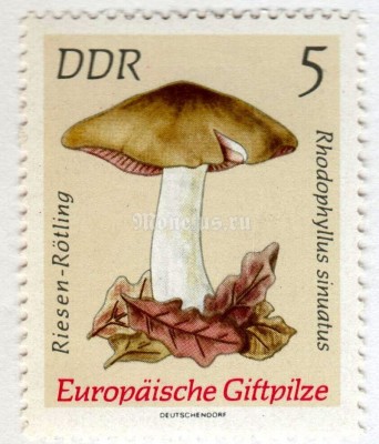 марка ГДР 5 пфенниг "Riesen-Rötling (Rhodophyllus sinuatus)" 1974 год