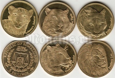 Сомалиленд набор из 5-ти монет 2016 год Дикие кошки