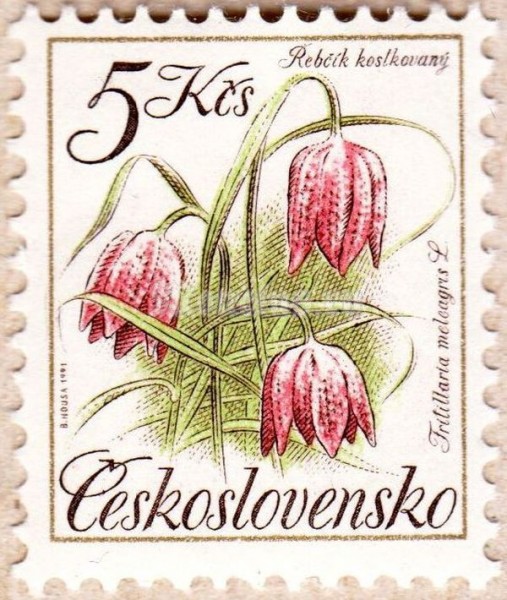марка Чехословакия 5 крон "Fritillaria meleagris" 1991 год