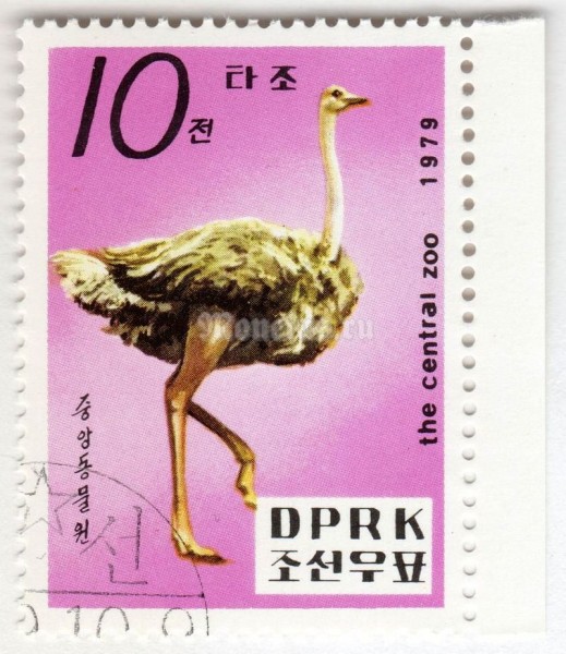 марка Северная Корея 10 чон "Ostrich (Struthio camelus)" 1979 год Гашение