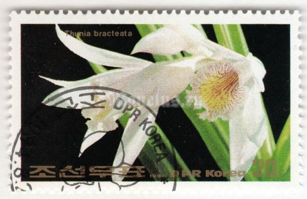 марка Северная Корея 20 чон "Thunia bracteata" 1984 год Гашение