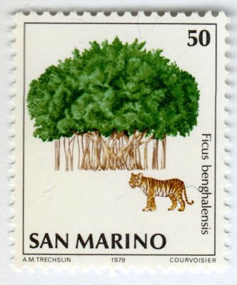 марка Сан-Марино 50 лир "Tiger (Panthera tigris), Banyan Tree (Ficus benghalensis)" 1979 год