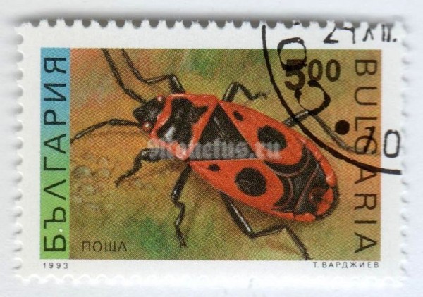 марка Болгария 5 лева "Firebug (Pyrrhocoris apterus)" 1993 год Гашение