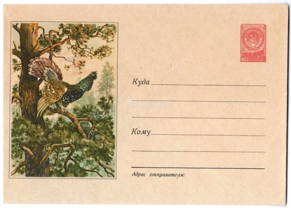 ХМК СССР Глухарь тетерев Фауна 1958 год, чистый
