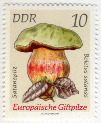 марка ГДР 10 пфенниг "Satan's mushroom" 1974 год