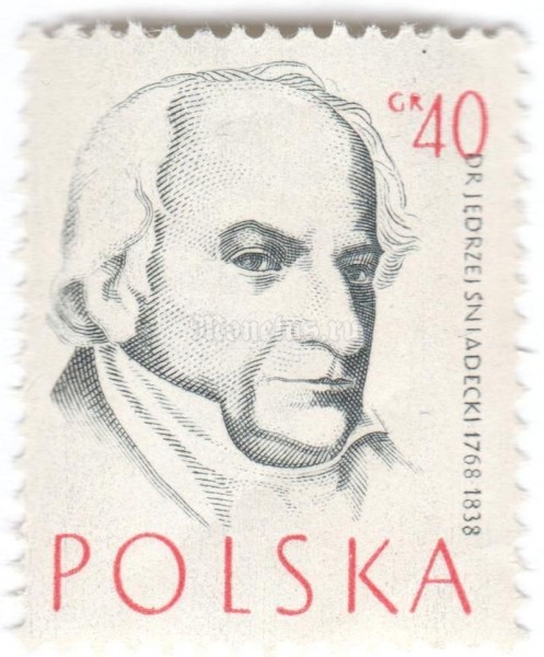 марка Польша 40 грош "Dr. Jedrzej Sniadecki" 1957 год