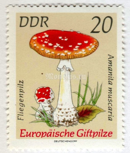 марка ГДР 20 пфенниг "Amanita muscaria" 1974 год