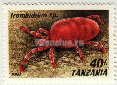 марка Танзания 40 шиллингов "Красный бархатный клещ (Trombidium )" 1994 год