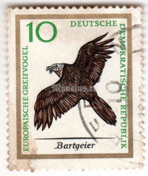 марка ГДР 10 пфенниг "Bearded Vulture (Gypaëtus barbatus aureus)" 1965 год Гашение