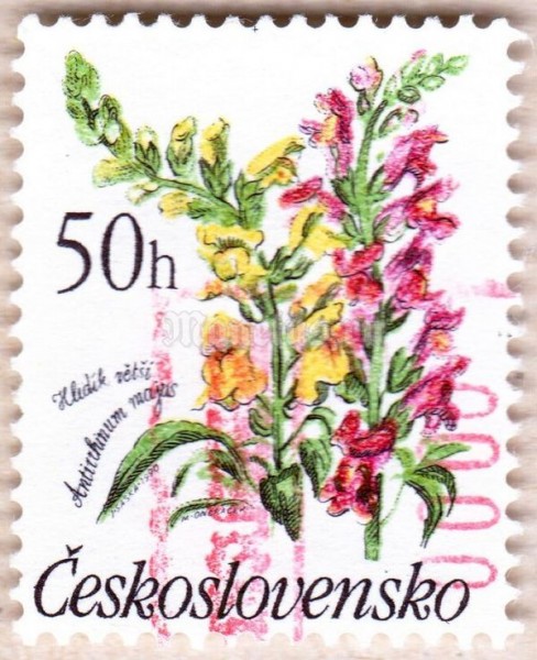 марка Чехословакия 50 геллер "Антирринум мажус" 1990 год