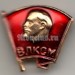 Значок Комсомольца СССР