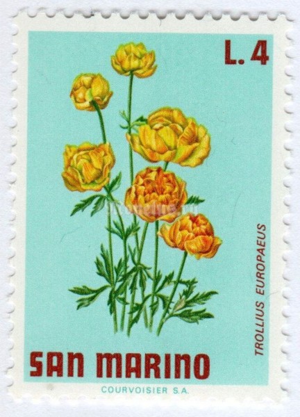 марка Сан-Марино 4 лиры "Globe-Flower (Trollius europaeus)" 1971 год